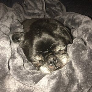 Meet your Posher, Leah